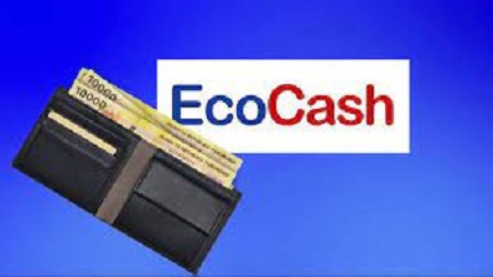 EcoCash.jpg