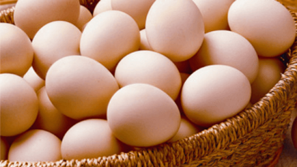 Eggs-in-scarcity.png