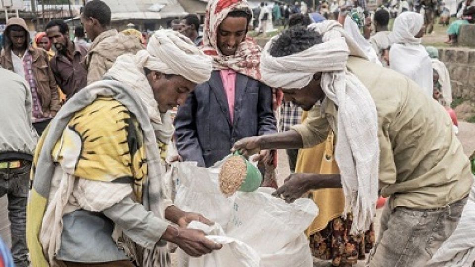 Food-crisis-in-Ethiopia.jpg