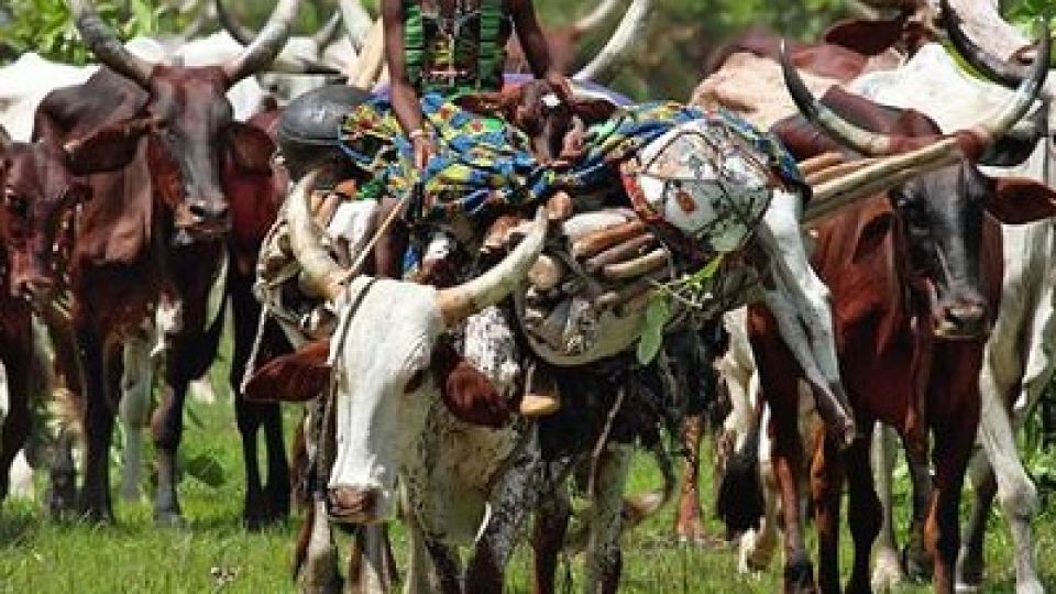 Fulani-pastoralists.jpg