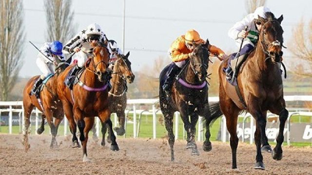 Horse-racing.jpg