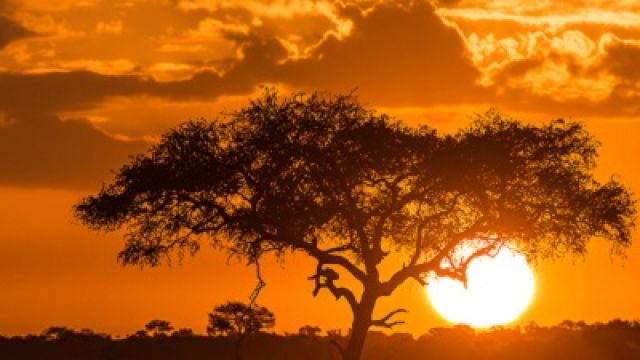 Sunset-in-Tanzania-1.jpg